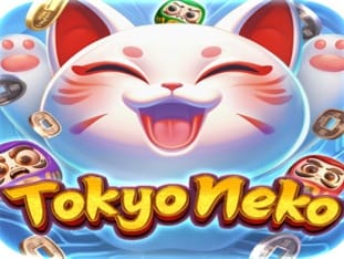 Tokyo Neko