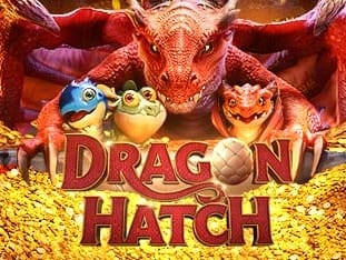 Dragon Hatch